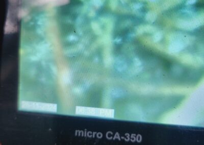 Camera inspection 2
