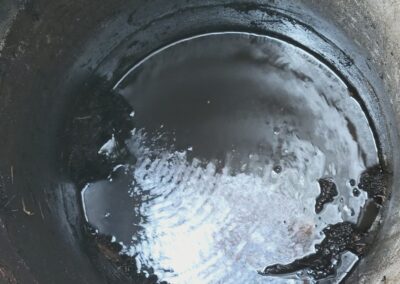 Drain cleaning Roots